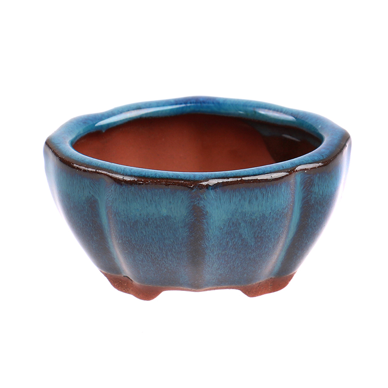 1szt Bonsai Mini Ceramiczna Do – Echeveria Succulent recenzja i cena