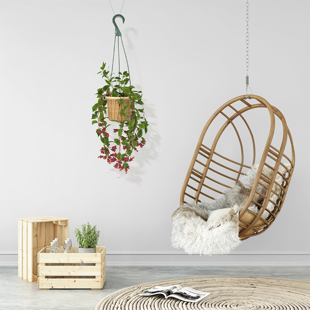 Zestaw 5 haczyków do wiszących – Spider Plant Hanging recenzja i cena