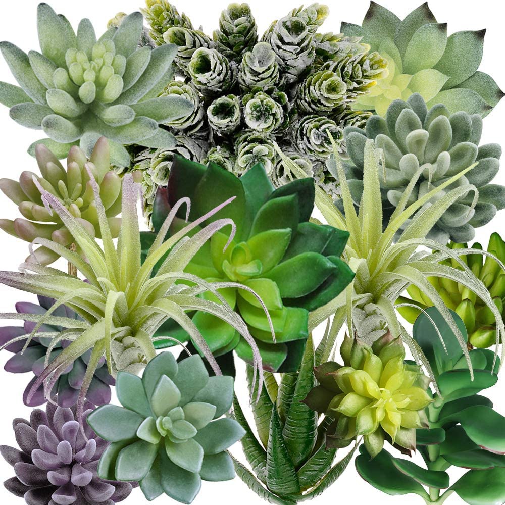 15 sztuk Sztucznych Sukulentów – Echeveria Succulent recenzja i cena