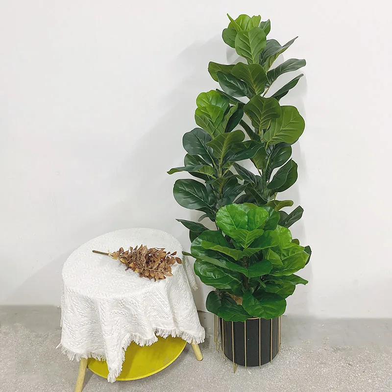 Sztuczna Ficus Lyrata, Duża Ro – Ficus Lyrata Tree recenzja i cena