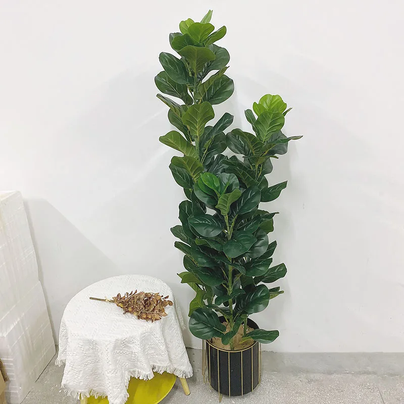 Sztuczna Ficus Lyrata, Duża Ro – Ficus Lyrata Tree recenzja i cena