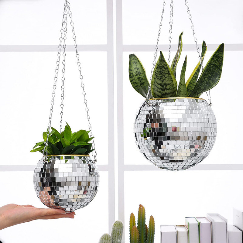 Kosz na kwiaty w kształcie kul – Echeveria Succulent recenzja i cena