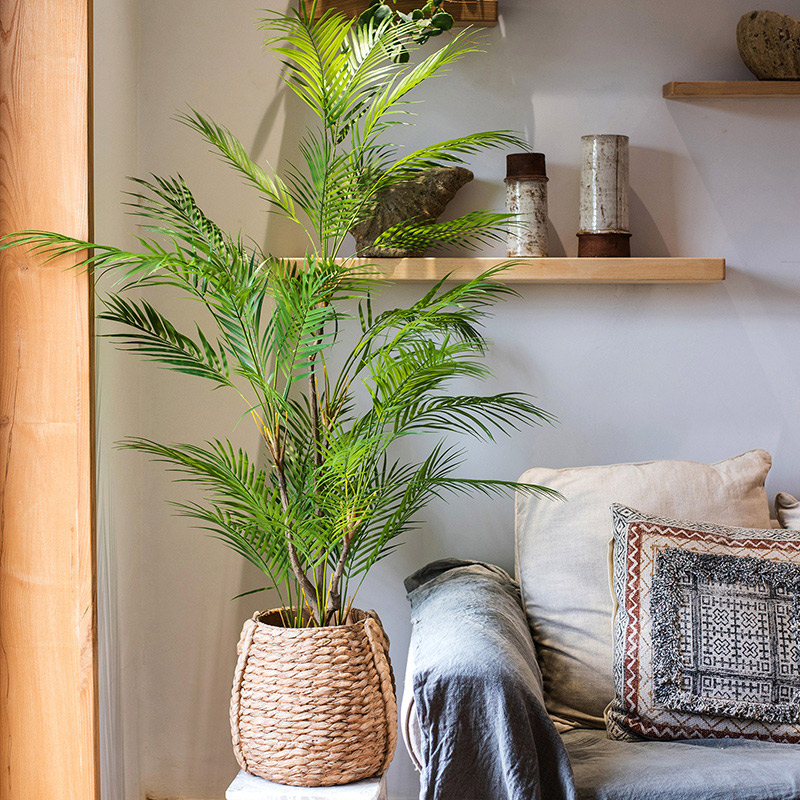 Sztuczna palma o długości 125  – Dracaena Marginata recenzja i cena