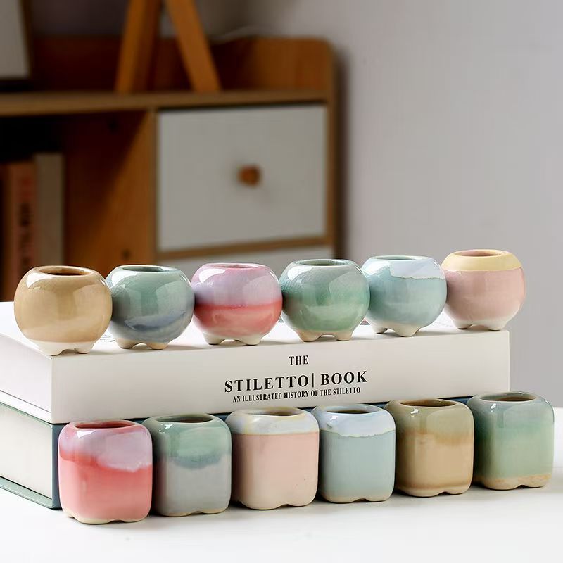 6 szt. Mini Doniczek Sukulenty – Echeveria Succulent recenzja i cena